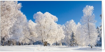 2024 für Firmen | Kategorie Winterlandschaften | Motiv: Verschneite Bäume - Artikel Nummer 11276