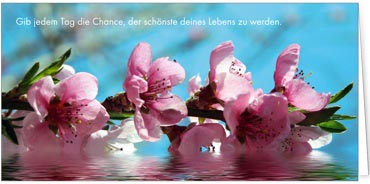2023 Glückwunschkarten (Grusskarten)  - Programm 2023 | Motiv: Pfirsichblüten - Artikel Nummer 21027