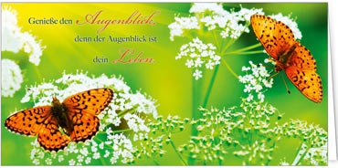 2023 Glückwunschkarten (Grusskarten)  - Programm 2023 | Motiv: Schmetterlinge - Artikel Nummer 21060