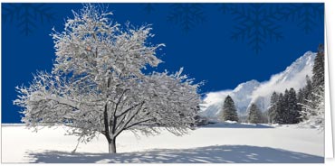 2023 für Firmen | Kategorie Winterlandschaften | Motiv: Verschneiter Baum - Artikel Nummer 41101