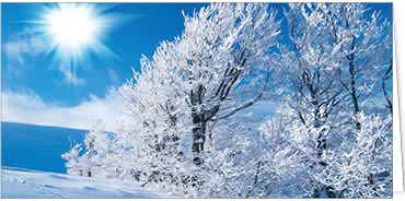 2025 Kategorie Winterlandschaften | Motiv: Wintersonne - Artikel Nummer 11007