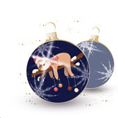 Weihnachtskarten-Dekore