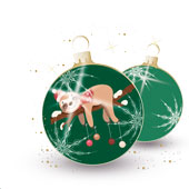 Weihnachtskarten-Dekore