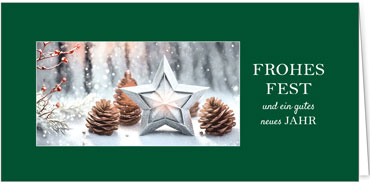 2025 für Firmen | Kategorie Grüne Impressionen | Motiv: Wunschstern - Artikel Nummer 1128-806
