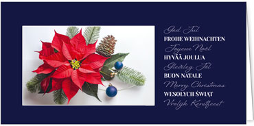 2025 für Firmen | Kategorie Blaue Impressionen | Motiv: Blütenstern - Artikel Nummer 1130-804