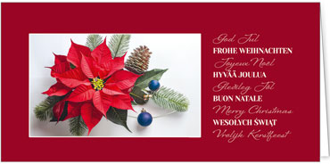 2025 für Firmen | Kategorie Rote Impressionen | Motiv: Blütenstern - Artikel Nummer 1130-805