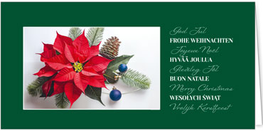 2025 für Firmen | Kategorie Grüne Impressionen | Motiv: Blütenstern - Artikel Nummer 1130-806