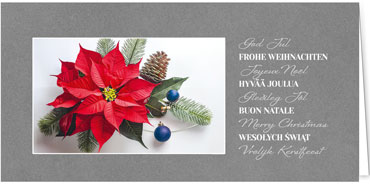 2025 für Firmen | Kategorie - Silber Struktur Optik - | Motiv: Blütenstern - Artikel Nummer 1130-807