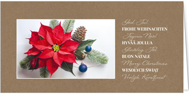 2025 für Firmen | Kategorie - Kraftpapier Optik - | Motiv: Blütenstern - Artikel Nummer 1130-808