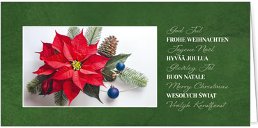 2025 für Firmen | Kategorie - Grüne Struktur Optik - | Motiv: Blütenstern - Artikel Nummer 1130-809