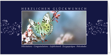 2025 Glückwunschkarten (Grusskarten)  - Programm 2025 | Motiv: Glücksfalter - Artikel Nummer 1157-804