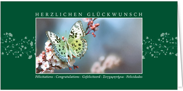 2025 Glückwunschkarten (Grusskarten)  - Programm 2025 | Motiv: Glücksfalter - Artikel Nummer 1157-806