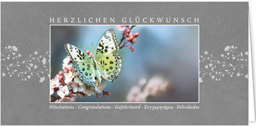 2025 Glückwunschkarten (Grusskarten)  - Programm 2025 | Motiv: Glücksfalter - Artikel Nummer 1157-807