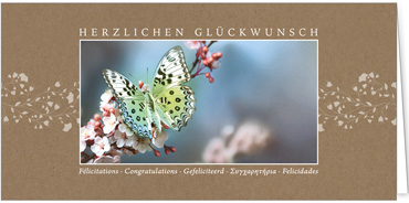 2025 Glückwunschkarten (Grusskarten)  - Programm 2025 | Motiv: Glücksfalter - Artikel Nummer 1157-808