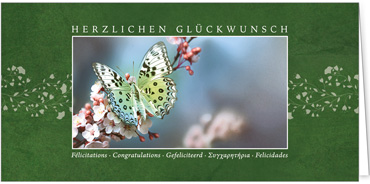 2025 Glückwunschkarten (Grusskarten)  - Programm 2025 | Motiv: Glücksfalter - Artikel Nummer 1157-809
