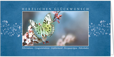 2025 Glückwunschkarten (Grusskarten)  - Programm 2025 | Motiv: Glücksfalter - Artikel Nummer 1157-810