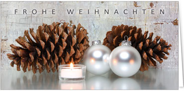 2025 für Firmen | Kategorie Silberne Impressionen | Motiv: Tannenharmonie - Artikel Nummer 11605