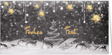 2025 für Firmen | Kategorie Silberne Impressionen | Motiv: Silberner Leuchtzauber - Artikel Nummer 11608