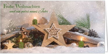 2025 für Firmen | Kategorie Grüne Impressionen | Motiv: Grünes Winterensemble - Artikel Nummer 11623