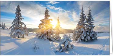 2025 Kategorie Winterlandschaften | Motiv: Schneebedeckte Tannen - Artikel Nummer 11644