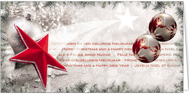 2025 für Firmen | Kategorie Internationale Weihnachtsgrüße | Motiv: Silberne Weltkugeln - Artikel Nummer 11750