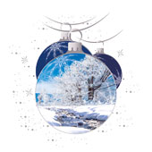 Weihnachtskarten-Dekore