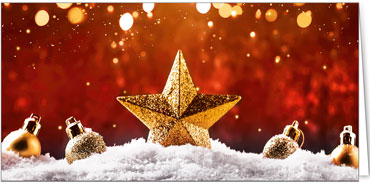 2025 für Firmen | Kategorie Rote Impressionen | Motiv: Goldstern im Schnee - Artikel Nummer 11825