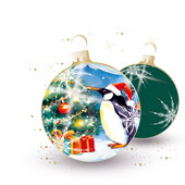 Weihnachtskarten-Dekore