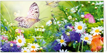 2025 Glückwunschkarten (Grusskarten)  - Programm 2025 | Motiv: Gartenparadies - Artikel Nummer 21030