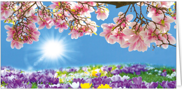 2025 Glückwunschkarten (Grusskarten)  - Programm 2025 | Motiv: Ein schöner Tag - Artikel Nummer 21044