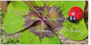 2025 Glückwunschkarten (Grusskarten)  - Programm 2025 | Motiv: Marienkäfer mit Klee - Artikel Nummer 21054