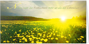 2025 Glückwunschkarten (Grusskarten)  - Programm 2025 | Motiv: Lebenslust - Artikel Nummer 21059