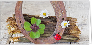 2025 Glückwunschkarten (Grusskarten)  - Programm 2025 | Motiv: Glückseisen - Artikel Nummer 21068