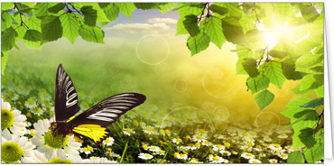 2025 Glückwunschkarten (Grusskarten)  - Programm 2025 | Motiv: Glücksbringer - Artikel Nummer 21077