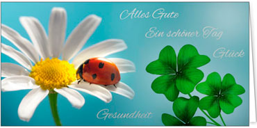 2025 Glückwunschkarten (Grusskarten)  - Programm 2025 | Motiv: Alles Gute mit Glücksbringer - Artikel Nummer 21079