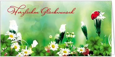 2025 Glückwunschkarten (Grusskarten)  - Programm 2025 | Motiv: Frühlingswiese mit Glücksbringer - Artikel Nummer 21080