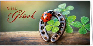 2025 Glückwunschkarten (Grusskarten)  - Programm 2025 | Motiv: Vereintes Glück - Artikel Nummer 21092