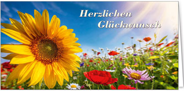 2025 Glückwunschkarten (Grusskarten)  - Programm 2025 | Motiv: Überstrahlende Sonnenblume - Artikel Nummer 21096