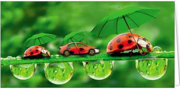 2025 Glückwunschkarten (Grusskarten) für die KFZ Branche - Programm 2025 | Motiv: KFZ - Glückskäfer - Artikel Nummer 21525