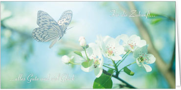 2025 Glückwunschkarten (Grusskarten)  - Programm 2025 | Motiv: Schmetterling - Artikel Nummer 28001