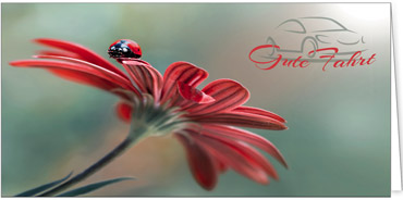 2025 Glückwunschkarten (Grusskarten) für die KFZ Branche - Programm 2025 | Motiv: KFZ - Traum - Artikel Nummer 28008