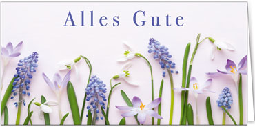 2025 Glückwunschkarten (Grusskarten)  - Programm 2025 | Motiv: Pastellwünsche - Artikel Nummer 28017