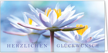 2025 Glückwunschkarten (Grusskarten)  - Programm 2025 | Motiv: Beruhigendes Glück - Artikel Nummer 28021