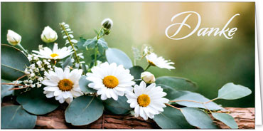 2025 Glückwunschkarten (Grusskarten)  - Programm 2025 | Motiv: Gänseblümchengesteck - Artikel Nummer 28024