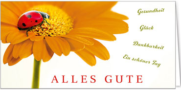 2025 Glückwunschkarten (Grusskarten)  - Programm 2025 | Motiv: Sonnige Gerbera - Artikel Nummer 29004