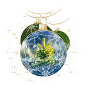 Weihnachtskarten-Dekore