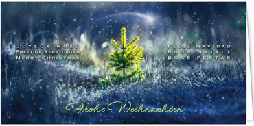 2025 für Firmen | Kategorie Blaue Impressionen | Motiv: Zarter Weihnachtsbaum - Artikel Nummer 31115