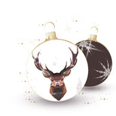 Weihnachtskarten-Dekore