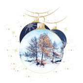 Weihnachtskarten-Dekore