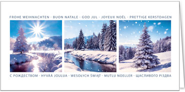 2025 Kategorie Winterlandschaften | Motiv: Strahlendes Schneegraupeln - Artikel Nummer 31173